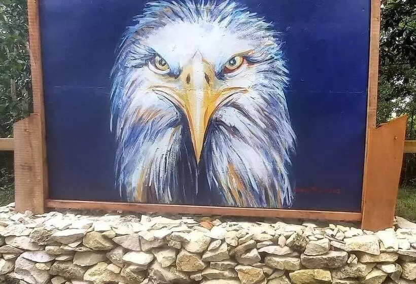 هتل Coral Seas Cliff