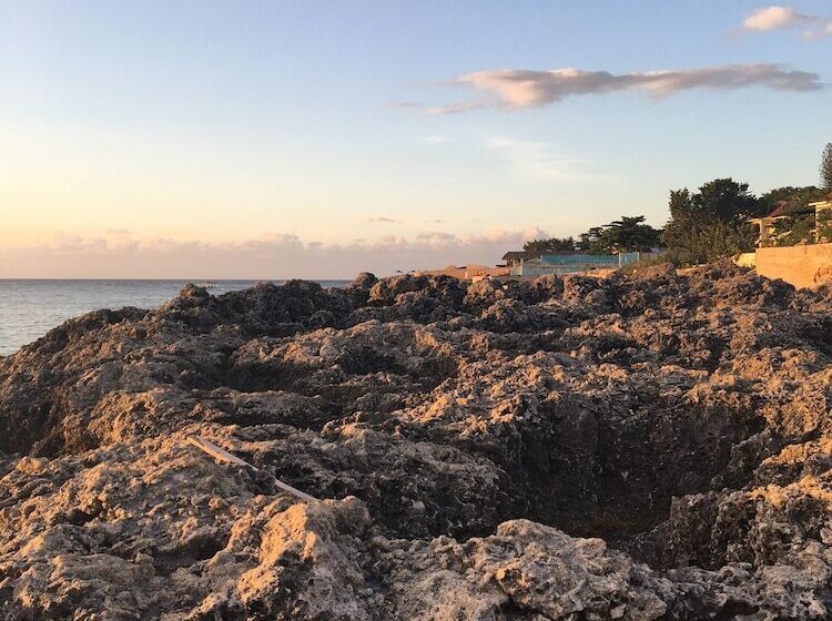 هتل Coral Seas Cliff