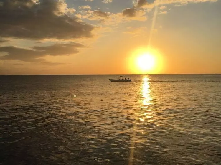 هتل Coral Seas Cliff