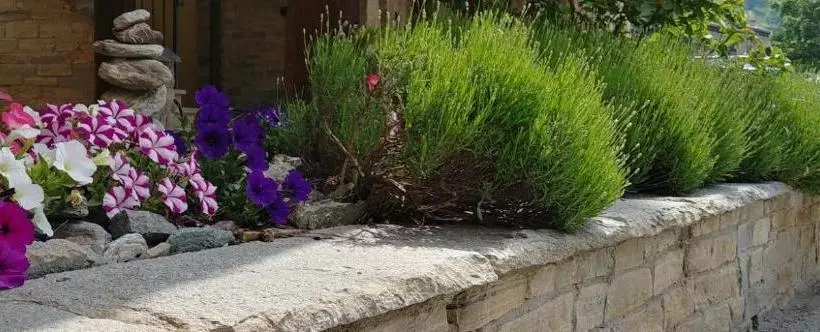 Отель Chalet Seggiovia