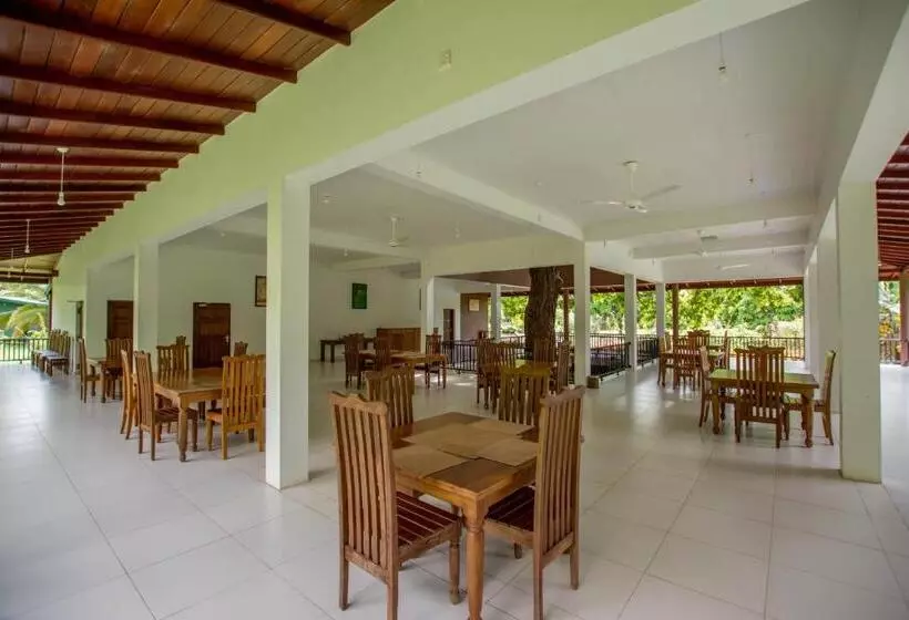 Отель Grand & Gangula