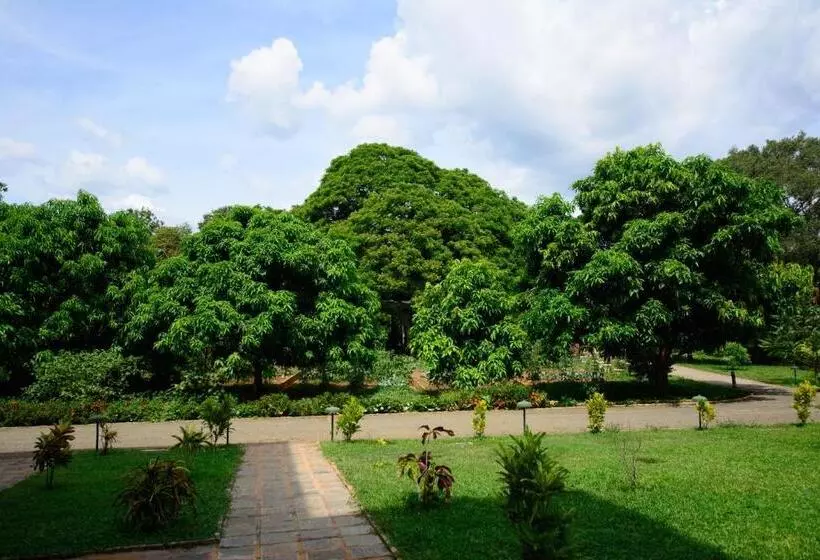 Отель Grand & Gangula