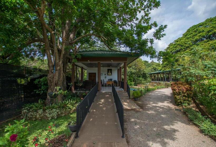 فندق Grand & Gangula