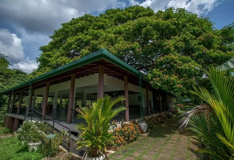 Отель Grand & Gangula