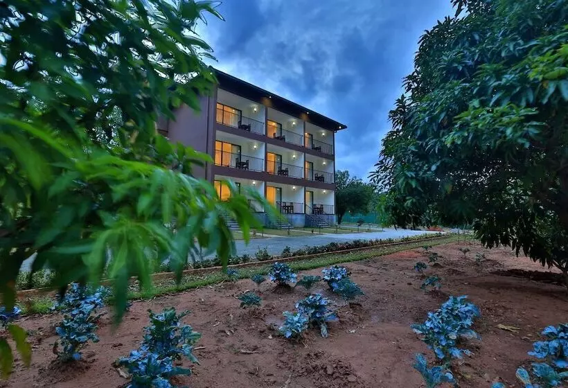 Отель Grand & Gangula