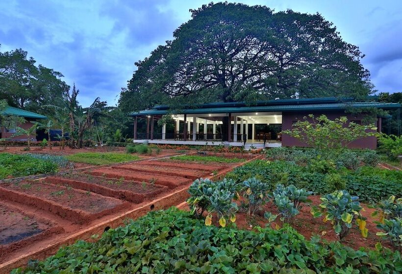 فندق Grand & Gangula