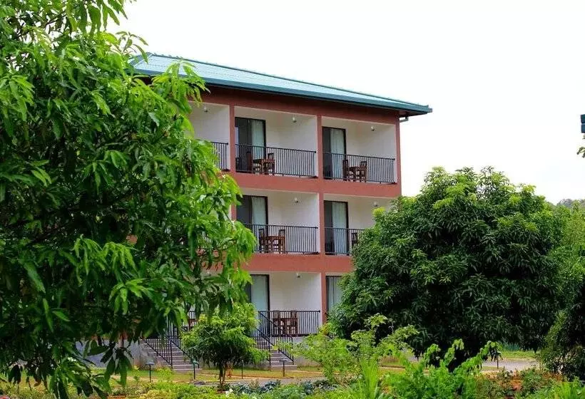 Отель Grand & Gangula