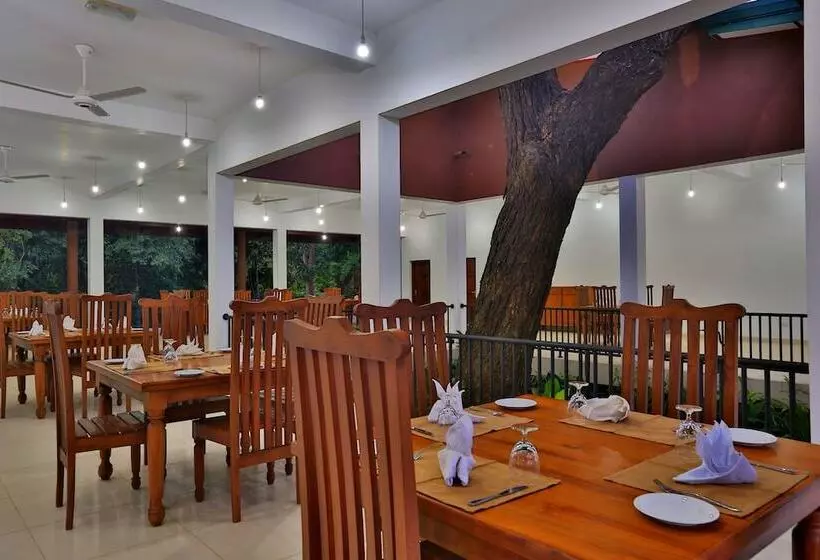 Отель Grand & Gangula