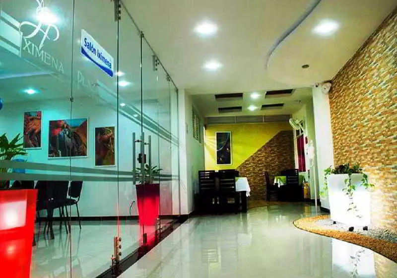 酒店 Iximena Plaza