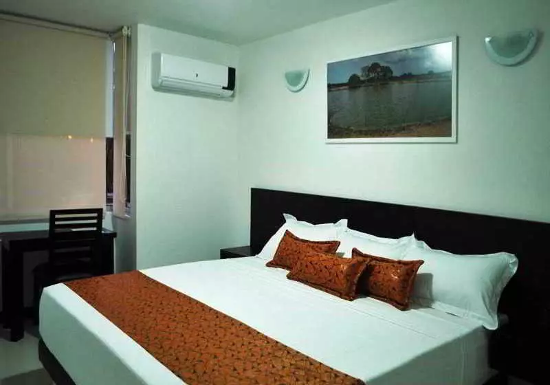 酒店 Iximena Plaza