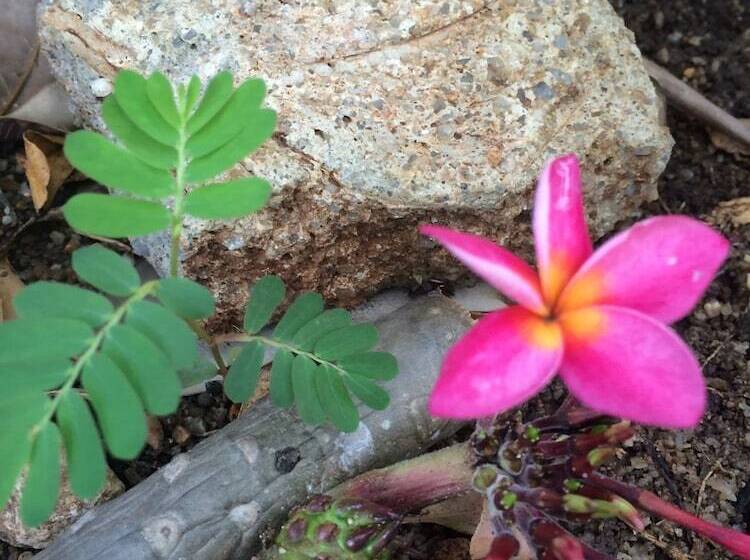 فندق J.holiday Inn Krabi