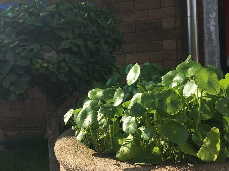 فندق J.holiday Inn Krabi