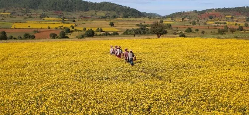 هتل Thanakha Inle