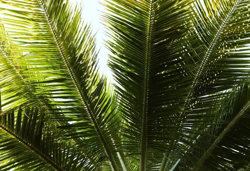 Отель The Lombok Lodge Suites & Private Villas