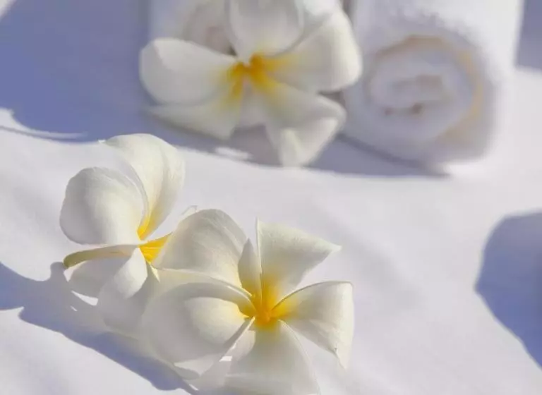 Отель The Lombok Lodge Suites & Private Villas