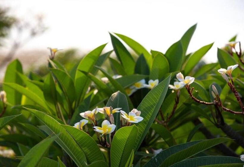 Отель The Lombok Lodge Suites & Private Villas