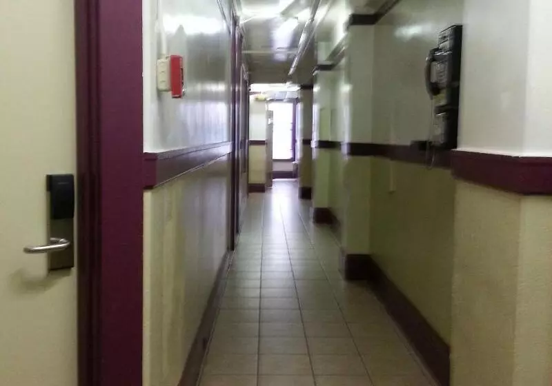 בית מלון כפרי Winsor