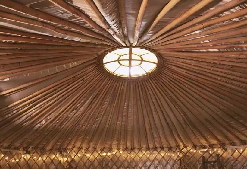 Mushroom Yurt Set In 4 Acres Of Woodland And Lakes