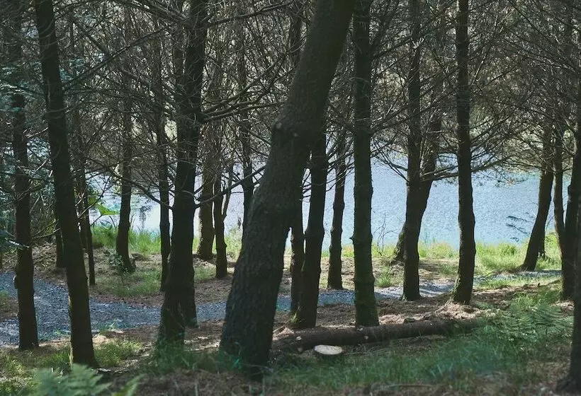 Mushroom Yurt Set In 4 Acres Of Woodland And Lakes