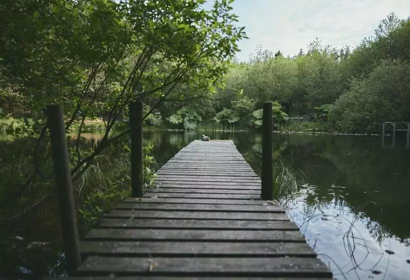 Mushroom Yurt Set In 4 Acres Of Woodland And Lakes