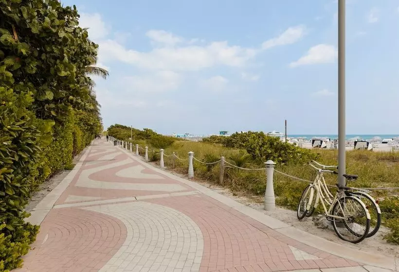 Found Miami Beach Powered By Sonder