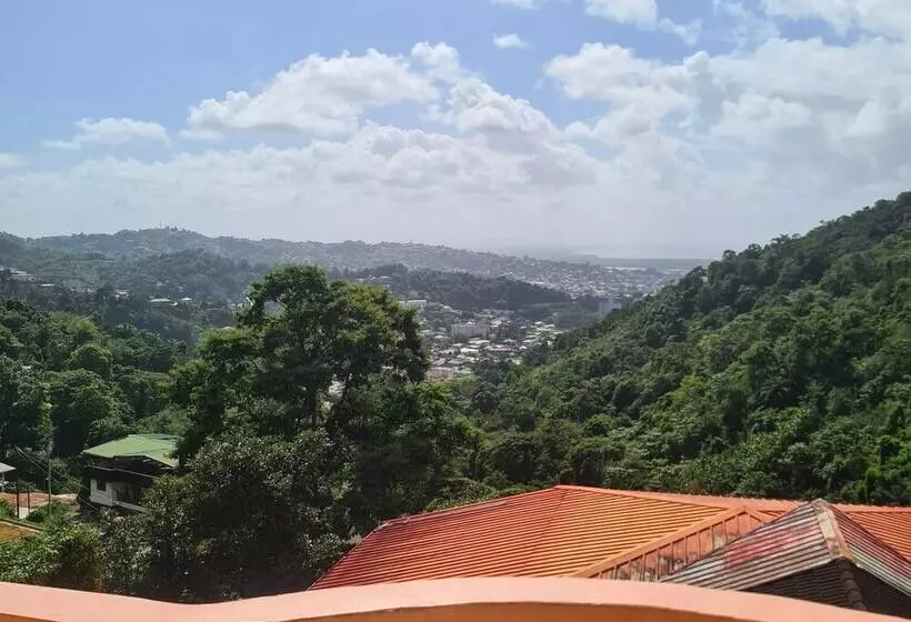 هتل Alicia S Palace