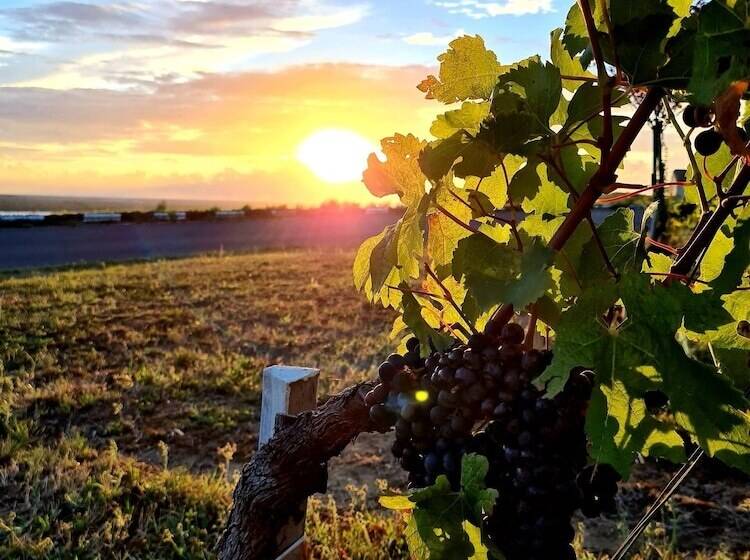 Отель Chateau Tanesse De Tourny