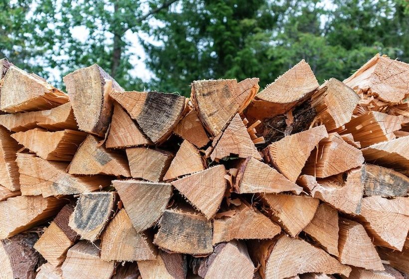 בית מלון כפרי Finger Lakes Treehouse