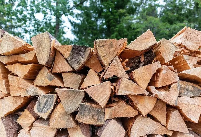 Hotelli Finger Lakes Treehouse