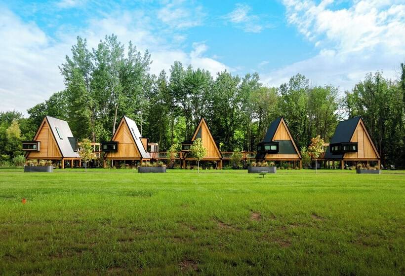 בית מלון כפרי Finger Lakes Treehouse