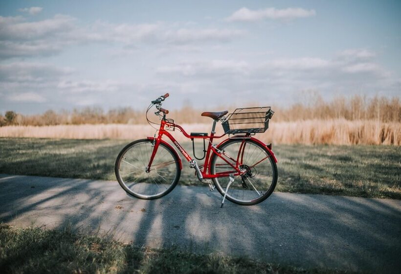 בית מלון כפרי Finger Lakes Treehouse