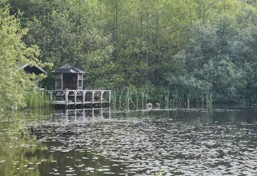Mushroom Yurt Set In 4 Acres Of Woodland And Lakes