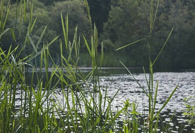 Mushroom Yurt Set In 4 Acres Of Woodland And Lakes