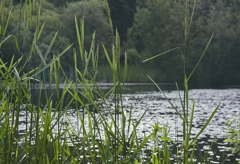 Mushroom Yurt Set In 4 Acres Of Woodland And Lakes