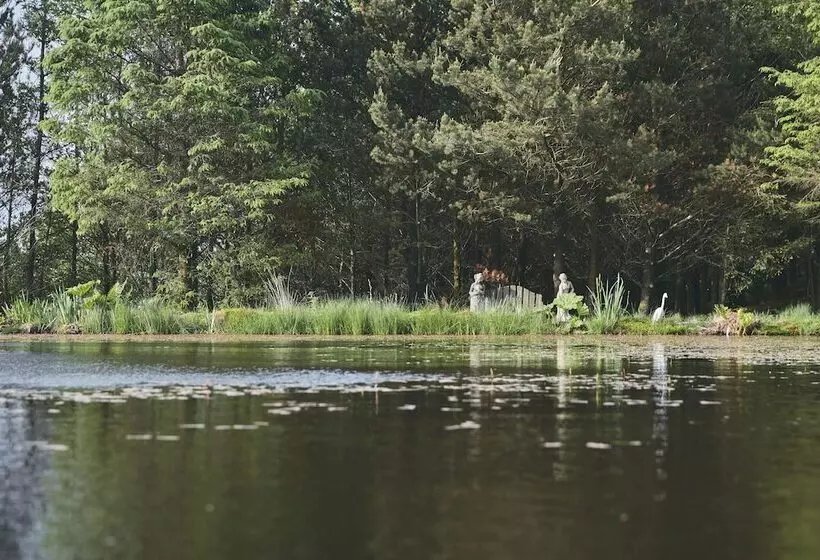 Mushroom Yurt Set In 4 Acres Of Woodland And Lakes
