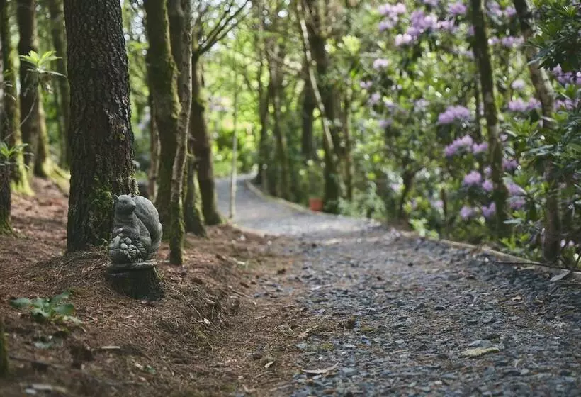 Mushroom Yurt Set In 4 Acres Of Woodland And Lakes