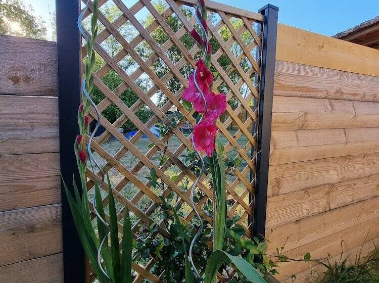 פנסיון Le Cocon De Lily