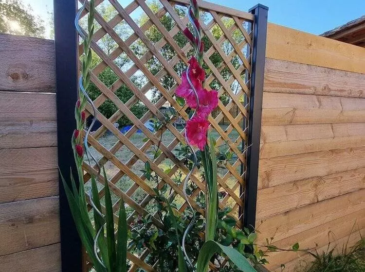 Majatalo Le Cocon De Lily