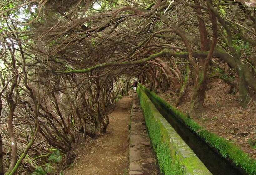 اقامتگاه Beautiful 3 Bed House In Arco Da Calheta