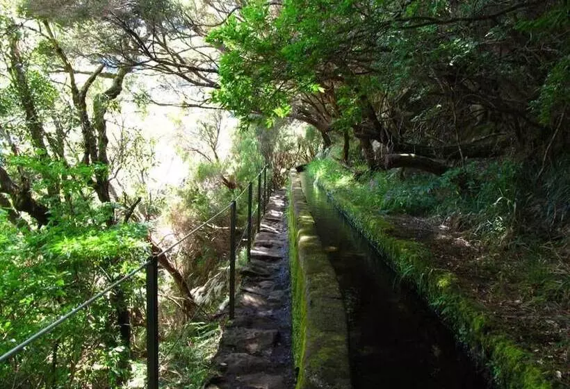 レジデンス Beautiful 3 Bed House In Arco Da Calheta