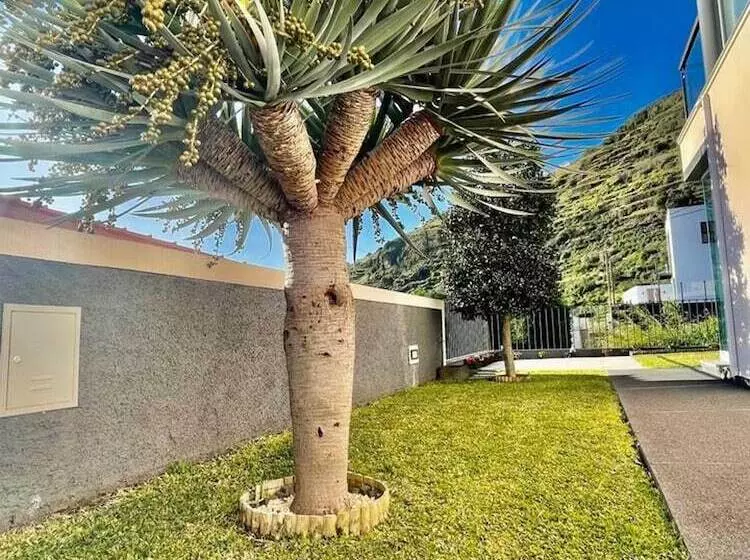 レジデンス Beautiful 3 Bed House In Arco Da Calheta