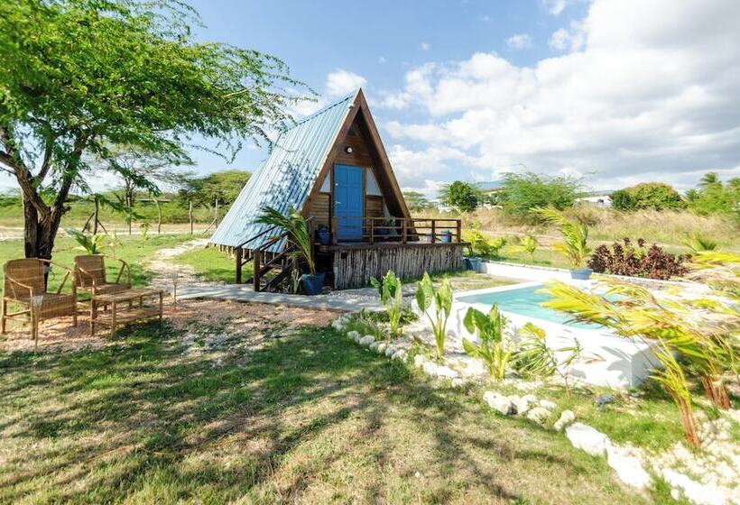 Cashaw Cabin   Private Retreat With A Pool