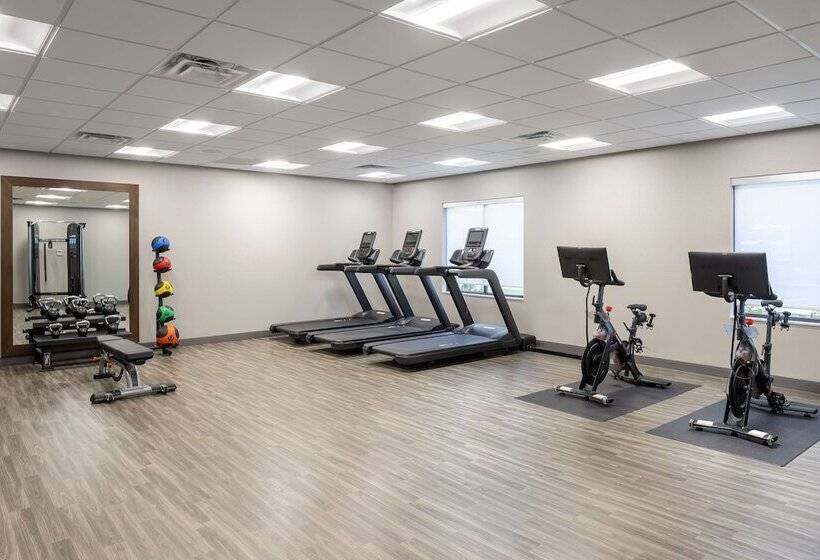 בית מלון כפרי Hampton Inn Hornell