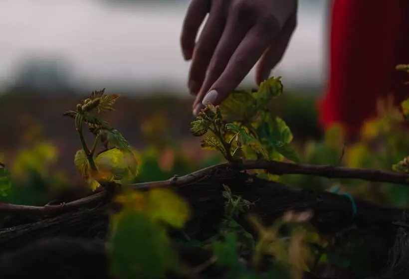 Hotelli Nelya Suites