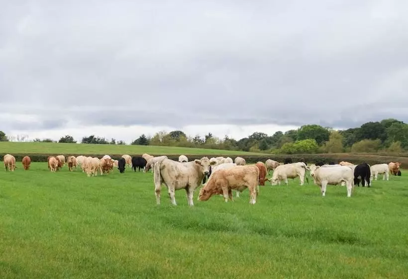 Maaseutuhotelli New Luxury 1 Bed House Nr Bicester Village