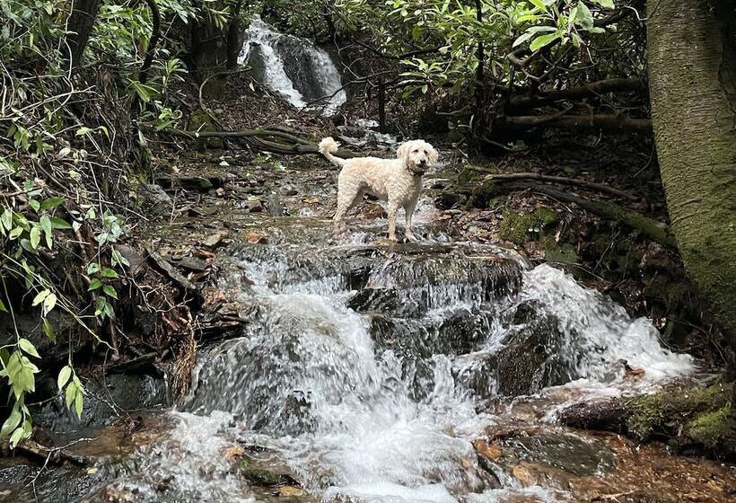 Meraki Escape    Log Cabins W/hot Tubs + Pet Friendly