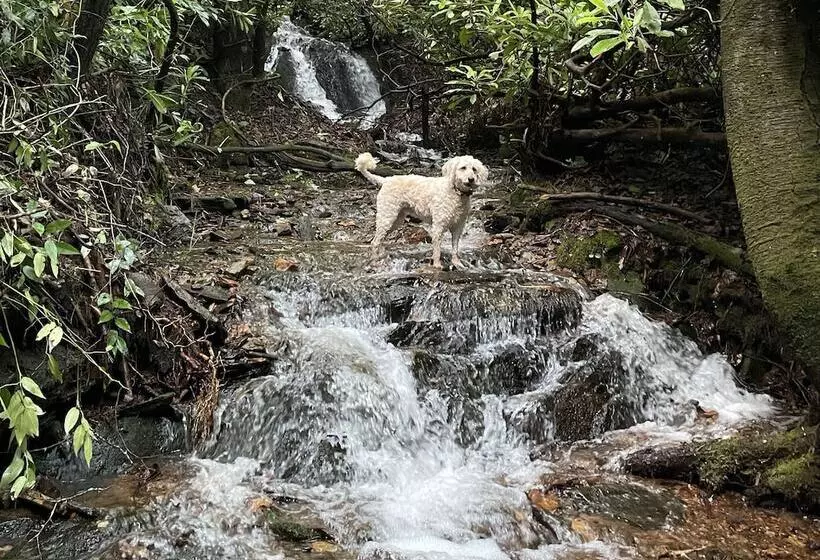 Meraki Escape    Log Cabins W/hot Tubs + Pet Friendly