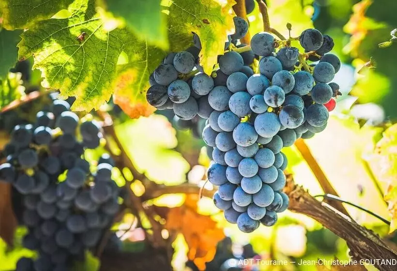 Majatalo La Closerie De La Fuye