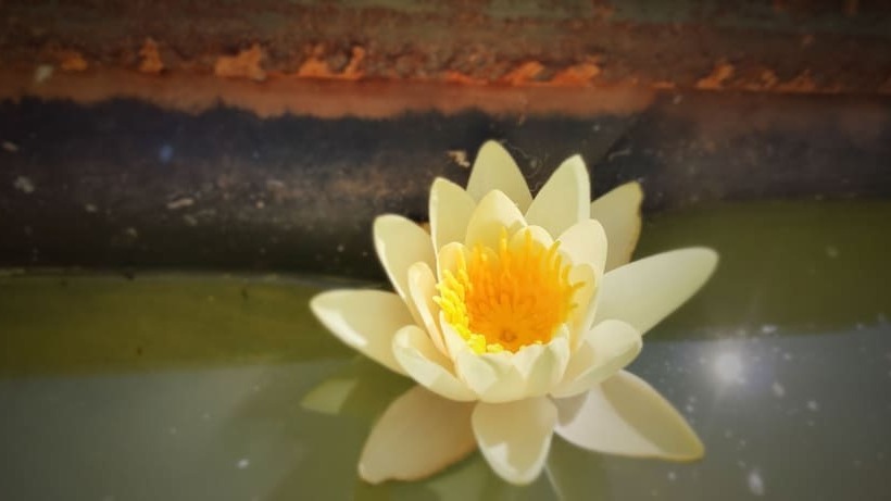 بنسيون La Closerie De La Fuye