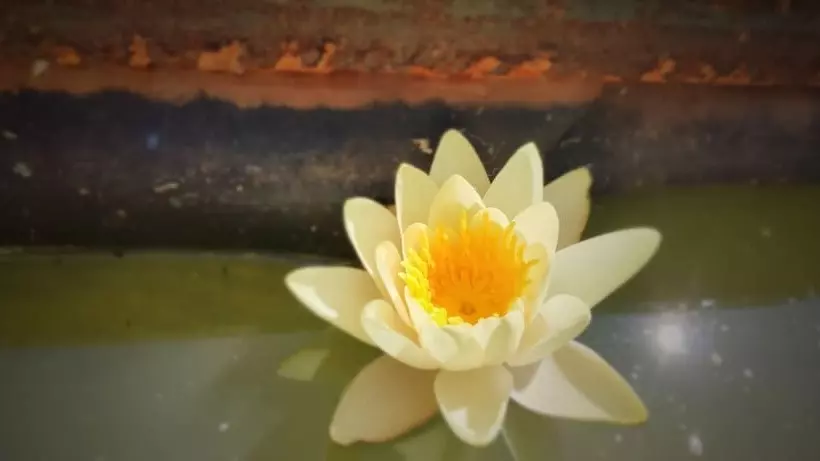 Majatalo La Closerie De La Fuye